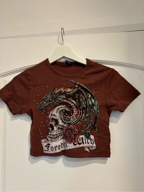 Urban Outfitters Brown Dragon & Skull Graphic Crop Top
